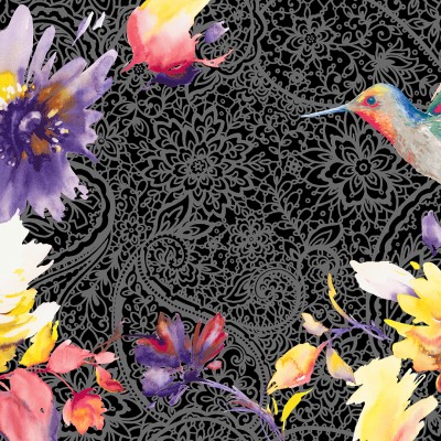 Pattern & Illustration